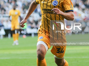 Joel Veltman of Brighton and Hove Albion plays during the Premier League match between Newcastle United and Brighton and Hove Albion at St....