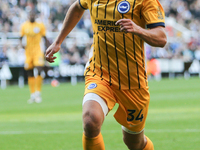 Joel Veltman of Brighton and Hove Albion plays during the Premier League match between Newcastle United and Brighton and Hove Albion at St....