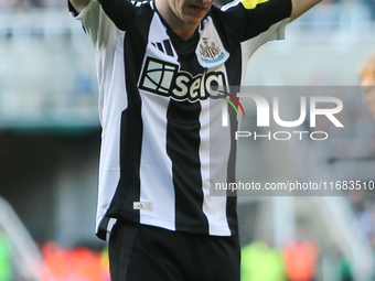 Anthony Gordon of Newcastle United shows dejection during the Premier League match between Newcastle United and Brighton and Hove Albion at...