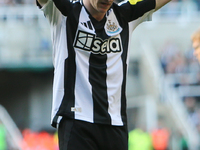 Anthony Gordon of Newcastle United shows dejection during the Premier League match between Newcastle United and Brighton and Hove Albion at...