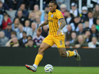 Brighton and Hove Albion's Igor plays during the Premier League match between Newcastle United and Brighton and Hove Albion at St. James's P...