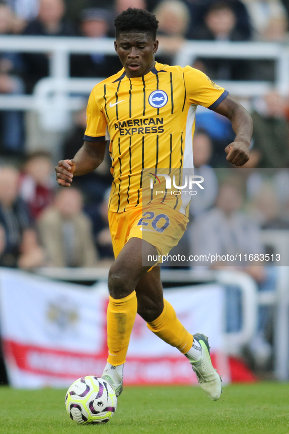 Carlos Baleba of Brighton and Hove Albion plays during the Premier League match between Newcastle United and Brighton and Hove Albion at St....