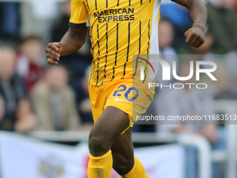 Carlos Baleba of Brighton and Hove Albion plays during the Premier League match between Newcastle United and Brighton and Hove Albion at St....