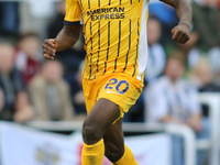 Carlos Baleba of Brighton and Hove Albion plays during the Premier League match between Newcastle United and Brighton and Hove Albion at St....