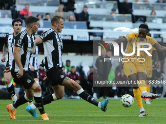 Brighton and Hove Albion's Danny Welbeck shoots at goal during the Premier League match between Newcastle United and Brighton and Hove Albio...