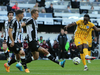 Brighton and Hove Albion's Danny Welbeck shoots at goal during the Premier League match between Newcastle United and Brighton and Hove Albio...