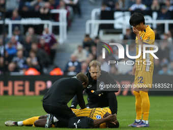 Danny Welbeck of Brighton and Hove Albion receives treatment during the Premier League match between Newcastle United and Brighton and Hove...