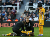 Danny Welbeck of Brighton and Hove Albion receives treatment during the Premier League match between Newcastle United and Brighton and Hove...