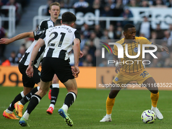 Pervis Estupinan is under pressure during the Premier League match between Newcastle United and Brighton and Hove Albion at St. James's Park...