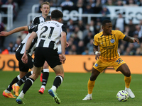 Pervis Estupinan is under pressure during the Premier League match between Newcastle United and Brighton and Hove Albion at St. James's Park...