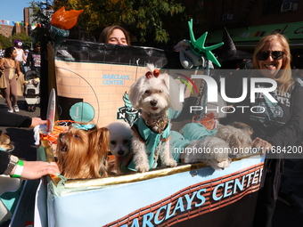 Dogs are dressed as the New York Liberty basketball team for the 34th Annual Tompkins Square Halloween Dog Parade in Tompkins Square Park in...