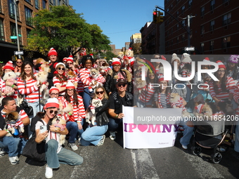 Pomeranian owners and their dogs dress up for the 34th Annual Tompkins Square Halloween Dog Parade in Tompkins Square Park in New York City,...