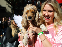 A dog and her owner dress as angels for the 34th Annual Tompkins Square Halloween Dog Parade in Tompkins Square Park in New York City, USA,...