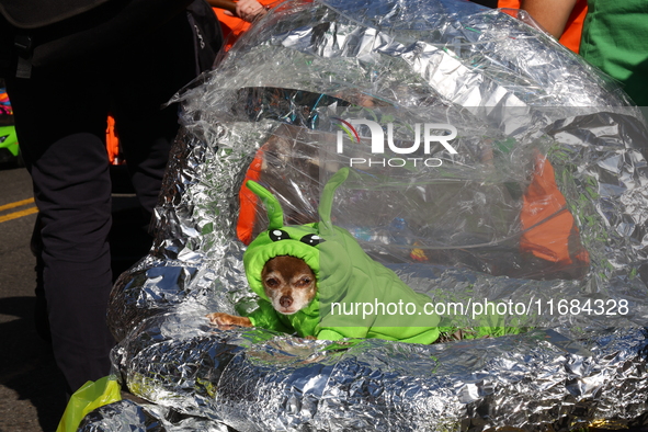 A dog rides a spaceship dressed as an alien for the 34th Annual Tompkins Square Halloween Dog Parade in Tompkins Square Park in New York Cit...