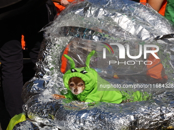 A dog rides a spaceship dressed as an alien for the 34th Annual Tompkins Square Halloween Dog Parade in Tompkins Square Park in New York Cit...