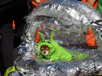 A dog rides a spaceship dressed as an alien for the 34th Annual Tompkins Square Halloween Dog Parade in Tompkins Square Park in New York Cit...