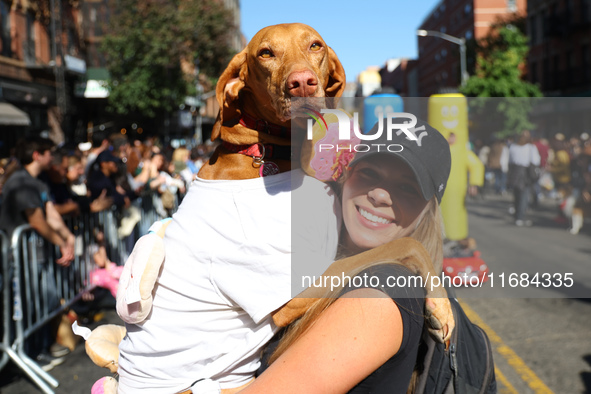 A dog is carried by its owner for the 34th Annual Tompkins Square Halloween Dog Parade in Tompkins Square Park in New York City, USA, on Oct...