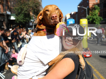 A dog is carried by its owner for the 34th Annual Tompkins Square Halloween Dog Parade in Tompkins Square Park in New York City, USA, on Oct...