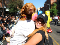 A dog is carried by its owner for the 34th Annual Tompkins Square Halloween Dog Parade in Tompkins Square Park in New York City, USA, on Oct...