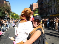 A dog is carried by its owner for the 34th Annual Tompkins Square Halloween Dog Parade in Tompkins Square Park in New York City, USA, on Oct...