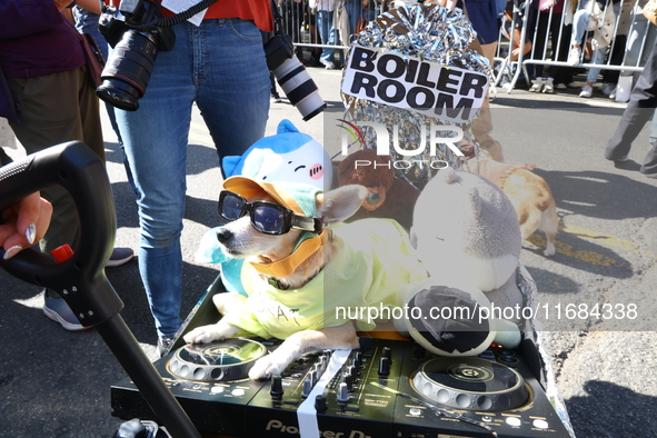 A dog dresses up as a nightclub DJ for the 34th Annual Tompkins Square Halloween Dog Parade in Tompkins Square Park, on October 19, 2024. 