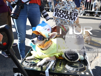 A dog dresses up as a nightclub DJ for the 34th Annual Tompkins Square Halloween Dog Parade in Tompkins Square Park, on October 19, 2024. (