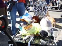 A dog dresses up as a nightclub DJ for the 34th Annual Tompkins Square Halloween Dog Parade in Tompkins Square Park, on October 19, 2024. (