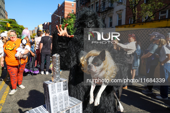 A dog and owner dress as King Kong and Fay Wray with the Empire State Building for the 34th Annual Tompkins Square Halloween Dog Parade in T...