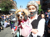 A dog and owner are country stars for the 34th Annual Tompkins Square Halloween Dog Parade in Tompkins Square Park in New York City, USA, on...