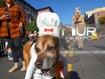 A dog dresses as a chef for the 34th Annual Tompkins Square Halloween Dog Parade in Tompkins Square Park in New York City, USA, on October 1...