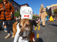 A dog dresses as a chef for the 34th Annual Tompkins Square Halloween Dog Parade in Tompkins Square Park in New York City, USA, on October 1...