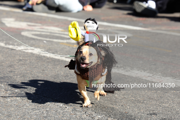 A dog wears a horse costume with a cowboy riding on its back for the 34th Annual Tompkins Square Halloween Dog Parade in Tompkins Square Par...