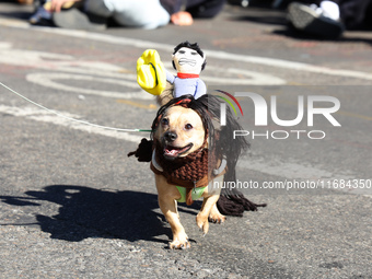 A dog wears a horse costume with a cowboy riding on its back for the 34th Annual Tompkins Square Halloween Dog Parade in Tompkins Square Par...