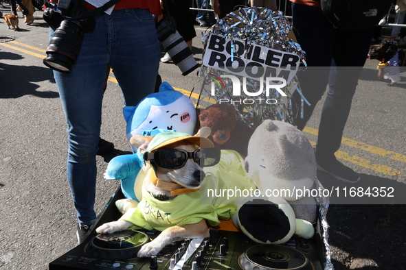 A dog dresses up as a nightclub DJ for the 34th Annual Tompkins Square Halloween Dog Parade in Tompkins Square Park, on October 19, 2024. 