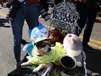 A dog dresses up as a nightclub DJ for the 34th Annual Tompkins Square Halloween Dog Parade in Tompkins Square Park, on October 19, 2024. (