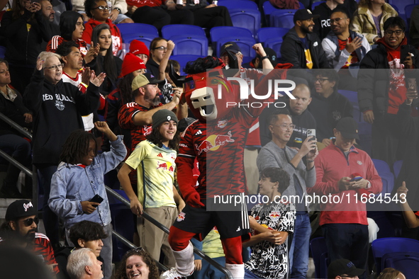 A general view of the match between Columbus and Red Bull during the MLS match at Red Bull Arena in Harris, New Jersey, on October 19, 2024....