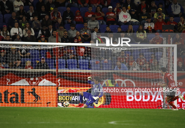 Columbus FC goalkeeper Nicolas Hagen (1) during the MLS League match between Columbus FC and New York Red Bulls at Red Bull Arena in Harris,...