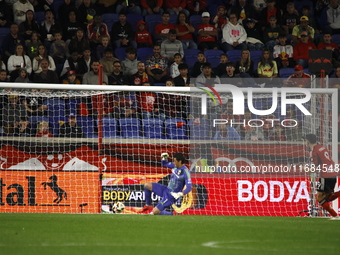 Columbus FC goalkeeper Nicolas Hagen (1) during the MLS League match between Columbus FC and New York Red Bulls at Red Bull Arena in Harris,...