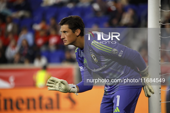 Columbus FC goalkeeper Nicolas Hagen (1) during the MLS League match between Columbus FC and New York Red Bulls at Red Bull Arena in Harris,...