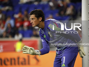 Columbus FC goalkeeper Nicolas Hagen (1) during the MLS League match between Columbus FC and New York Red Bulls at Red Bull Arena in Harris,...