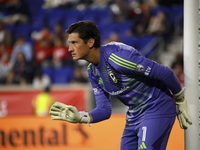 Columbus FC goalkeeper Nicolas Hagen (1) during the MLS League match between Columbus FC and New York Red Bulls at Red Bull Arena in Harris,...