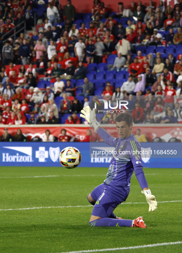 Columbus FC goalkeeper Nicolas Hagen (1) during the MLS League match between Columbus FC and New York Red Bulls at Red Bull Arena in Harris,...