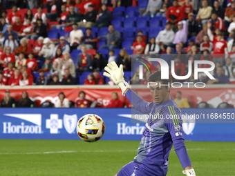 Columbus FC goalkeeper Nicolas Hagen (1) during the MLS League match between Columbus FC and New York Red Bulls at Red Bull Arena in Harris,...