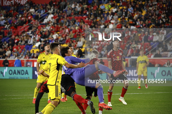 Columbus FC goalkeeper Nicolas Hagen (1) during the MLS League match between Columbus FC and New York Red Bulls at Red Bull Arena in Harris,...