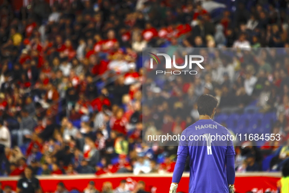 Columbus FC goalkeeper Nicolas Hagen (1) during the MLS League match between Columbus FC and New York Red Bulls at Red Bull Arena in Harris,...