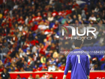 Columbus FC goalkeeper Nicolas Hagen (1) during the MLS League match between Columbus FC and New York Red Bulls at Red Bull Arena in Harris,...