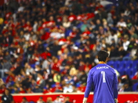 Columbus FC goalkeeper Nicolas Hagen (1) during the MLS League match between Columbus FC and New York Red Bulls at Red Bull Arena in Harris,...