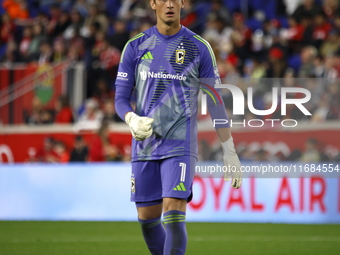 Columbus FC goalkeeper Nicolas Hagen (1) during the MLS League match between Columbus FC and New York Red Bulls at Red Bull Arena in Harris,...