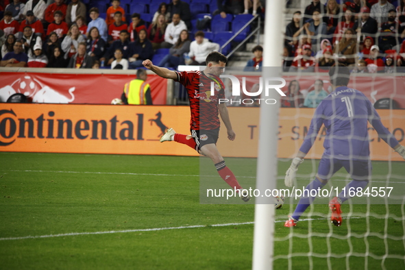 Columbus FC goalkeeper Nicolas Hagen (1) during the MLS League match between Columbus FC and New York Red Bulls at Red Bull Arena in Harris,...