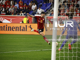 Columbus FC goalkeeper Nicolas Hagen (1) during the MLS League match between Columbus FC and New York Red Bulls at Red Bull Arena in Harris,...